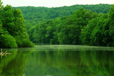 City Lake, an impoundment of the Falling Water River in Cookeville, Tennessee .