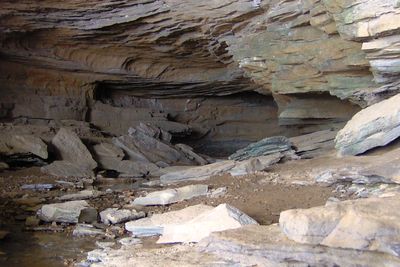 The wide entrance to Bunkum Cave at Cordell Hull Birthplace State Park.
