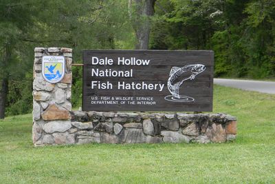 Buildings and raceways at Dale Hollow National Fish Hatchery.