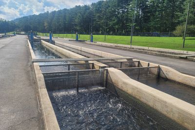 Framed slotted screens in raceways at the Dale Hollow National Fish Hatchery in Tennessee in the United States.