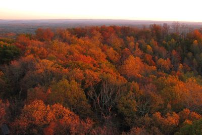 View looking south from the Goodpasture Mountain fire tower at Standing Stone State Park in Overton County, Tennessee, USA.
