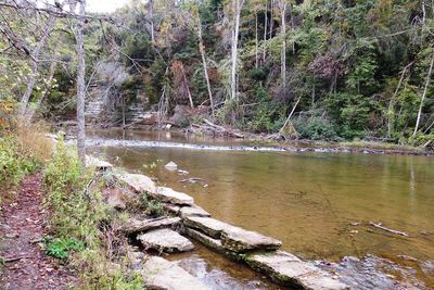 Above Waterloo Falls, Spring Creek, Overton/Putnam Counties, Tennessee